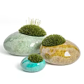 Bonsai Potted Plants With Stone Shaped Ceramic Pots And Green Grass Foliage