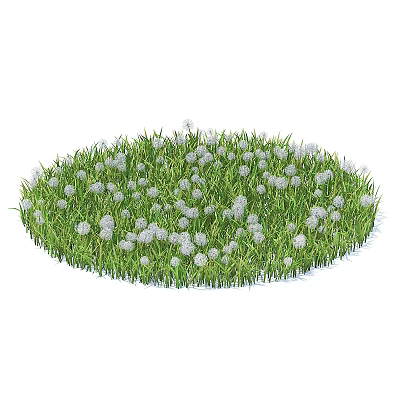 Blooming Circular Lawn With Lush Green Grass And Small White Flowers 3d model