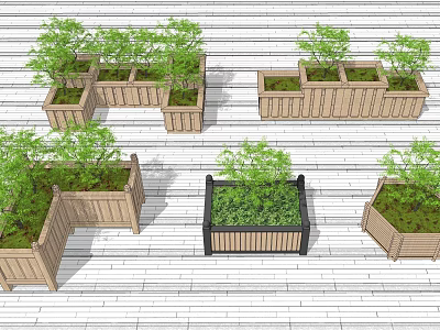 Bonsai Plants in Wooden Planters with Various Shapes Arranged on Wooden Deck 3d model