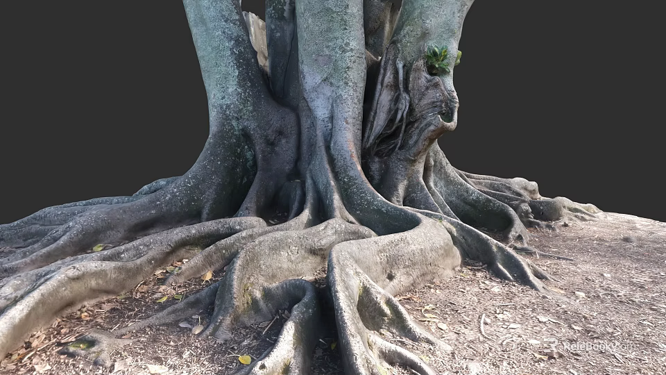 Plant Painting of Massive Tree Roots with Detailed Texture Natural Form and Earth Tones 3d model 
