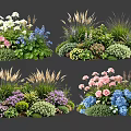 Colorful Plant Combinations With Pink Blue White Flowers And Green Grasses