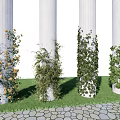 Various Decorative Vines Growing On White Columns With Green Grass And Stone Pavement