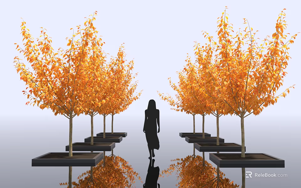 Deciduous Arbor With Orange Leaves In Rows Black Planters Person Walking And Reflections 3d model 