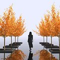 Deciduous Arbor With Orange Leaves In Rows Black Planters Person Walking And Reflections