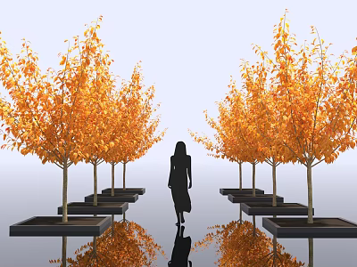Deciduous Arbor With Orange Leaves In Rows Black Planters Person Walking And Reflections 3d model