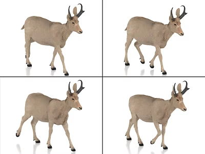 Horned Animal Figurine Displayed In Four Different Angles With Realistic Details 3d model