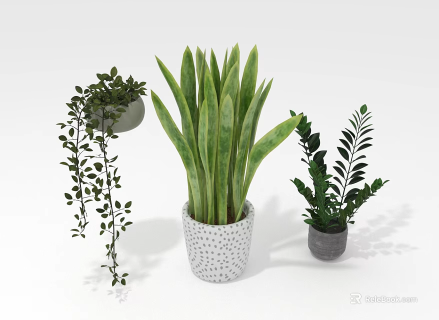 Different Types Of Indoor Green Plants With Long Leaves Hanging Vines And Decorative Pots 3d model 