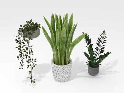 Different Types Of Indoor Green Plants With Long Leaves Hanging Vines And Decorative Pots 3d model