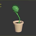 Green Spiky Plant Growing In Beige Flower Pot With Dark Soil And Gray Background