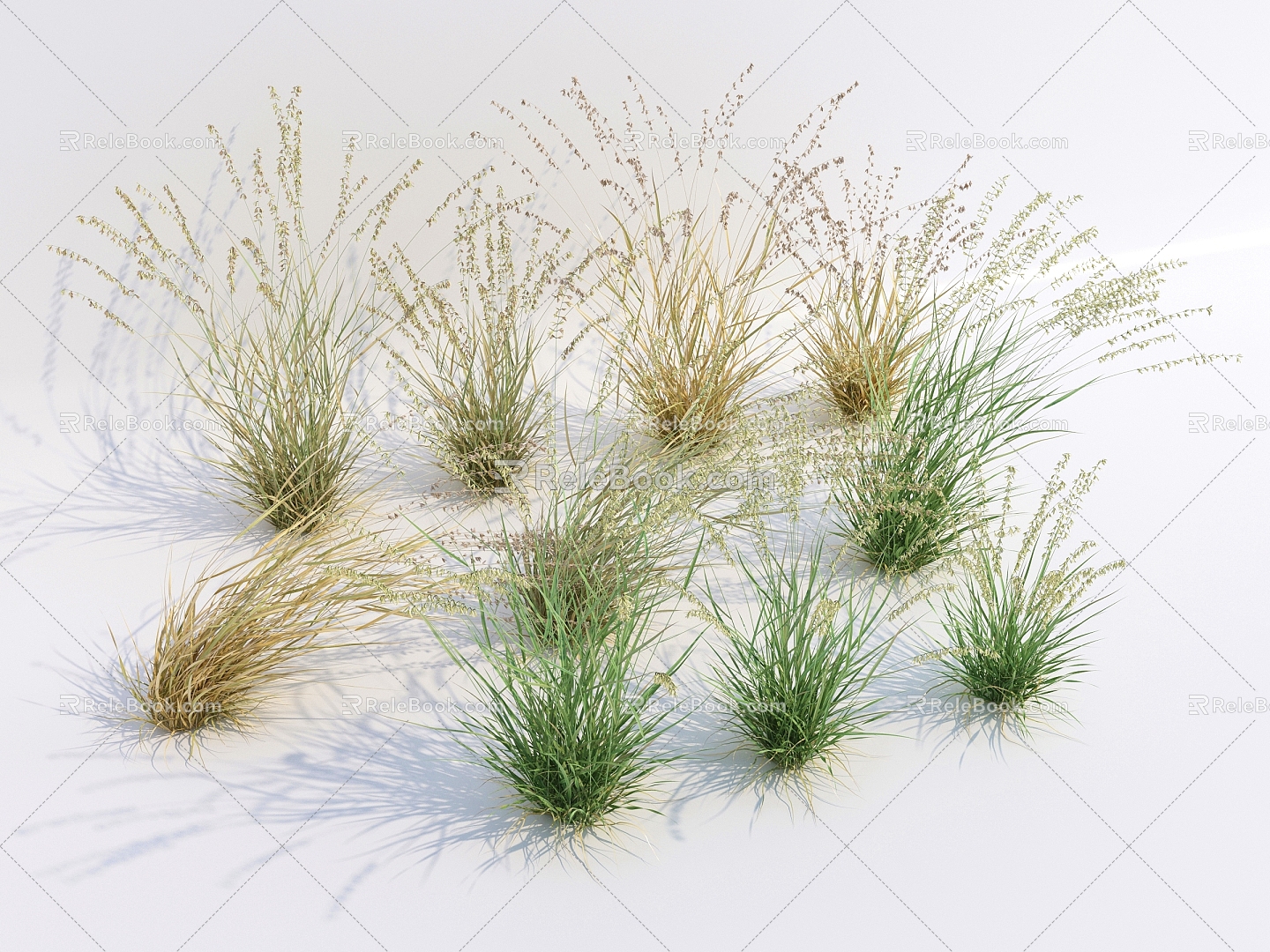 Modern Grass Wild Grass 3d model