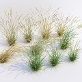 Modern Grass Wild Grass 3d model