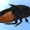 Black And Orange Reptile With Scaled Body And Long Legs In Natural Habitat