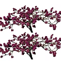 Elegant Blooming Tree With Lush Purple Flowers And Graceful Branches