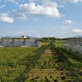 Scenic Landscape with Blue Sky White Clouds Green Fields Path Solar Panels Red Roof Building