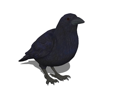 Modern Crow Animals model