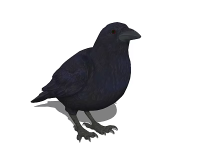 Black Crow With Streamlined Body And Red Eyes Standing On White Background 3d model