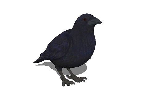 Modern Crow Animals 3d model