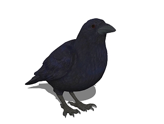 Modern Crow Animals 3d model