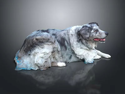 Artistic Border Collie Dog Lying On Black Background With Gray White Fur And Blue Tint 3d model