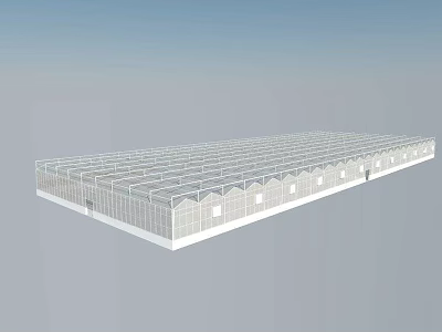 Long White Frame Canopy With Transparent Roof And Multiple Rows Design Structure 3d model