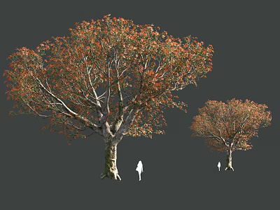 Garden Landscape With Large And Small Trees Featuring Autumn Colored Leaves And Silhouette Figures 3d model