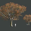Garden Landscape With Large And Small Trees Featuring Autumn Colored Leaves And Silhouette Figures