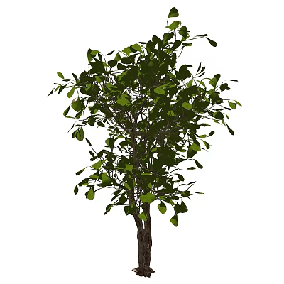 Modern shrubs 3d model Modern shrubs 3d model