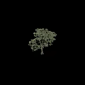 Natural Ornament Decoration Set With Green Trees And Human Silhouette