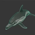 Realistic Grey Dolphin Figure In Natural Swimming Pose With Detailed Features