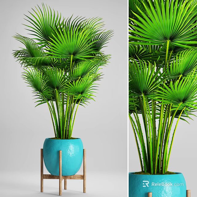 Bonsai Potted Plant With Green Large Leaves And Blue Pot On Metal Stand 3d model 