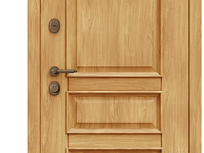 Wooden Hinged Door Design with Panel Details Handle and Lock Features 3d model