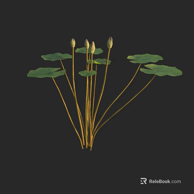 Green Lotus Leaves And Unopened Buds On Long Stems In Natural Setting 3d model 
