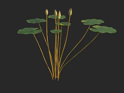 Green Lotus Leaves And Unopened Buds On Long Stems In Natural Setting 3d model