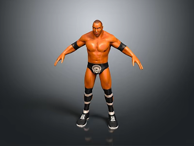 3D Model Of Shirtless Wrestler In Standing Pose With Black Armbands Wrestling Trunks Striped Socks 3d model