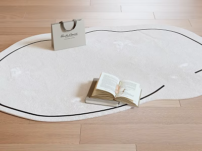 Shaped Rug On Wooden Floor With Book And Bag 3d model