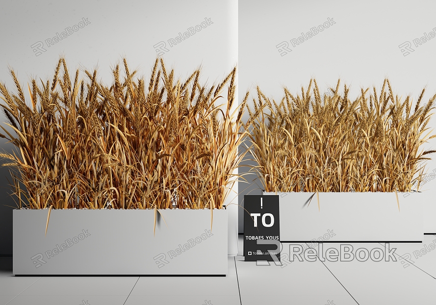 plant combination plant flower box wheat crop model