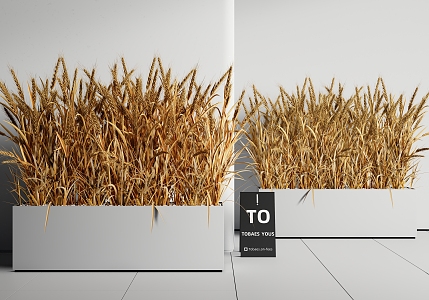 plant combination plant flower box wheat crop 3d model