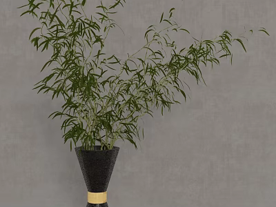 Green Bamboo Plant in Black Vase with Gold Band Against Gray Wall 3d model