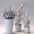 Modern Potted Plant Indoor Potted Plant 3d model