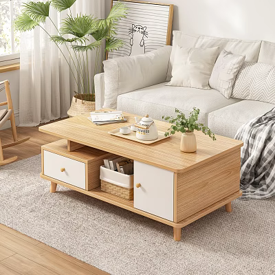 Minimalist Wooden Coffee Table With Storage Drawers Tray Plant And Books In Cozy Living Room 3d model