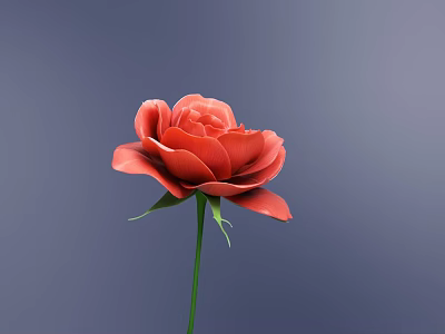 Beautiful Red Rose With Green Stem And Leaves On Dark Blue Background 3d model
