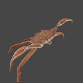 Realistic Brown Crab With Extended Legs And Detailed Claws On Gray Background
