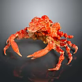 Striking Red Spiny Crab With Long Legs On Dark Reflective Background 3d model