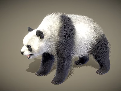 Black and White Standing Panda With Open Mouth In 3D Rendered 3d model