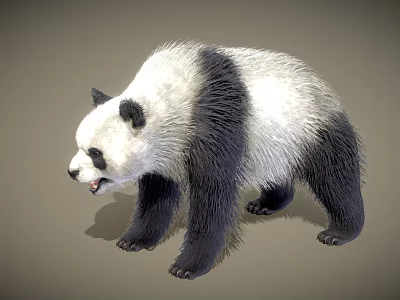Black and White Standing Panda With Open Mouth In 3D Rendered 3d model