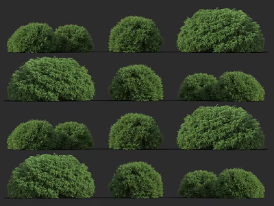 modern shrub pine and cypress 3d model