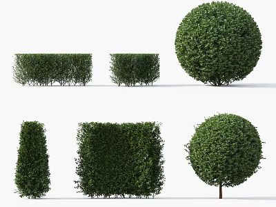 Well Trimmed Garden Shrubs In Various Geometric Shapes For Landscape Design 3d model