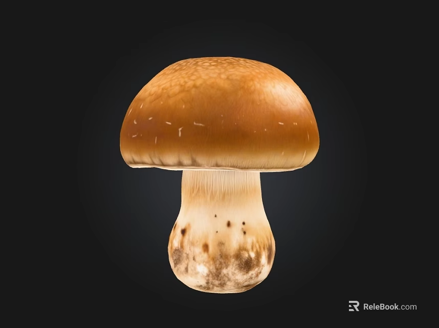 Fresh Brown Mushroom With Smooth Cap And Stem On Black Background 3d model 