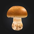 Fresh Brown Mushroom With Smooth Cap And Stem On Black Background 3d model