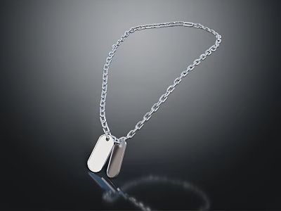 Silver Chain Necklace With Two Dog Tag Pendants And Link Design 3d model